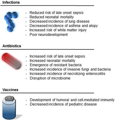 Impact of Early-Life Exposures to Infections, Antibiotics, and Vaccines on Perinatal and Long-term Health and Disease